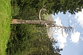DSC09725 - Bernhard Saalfeld