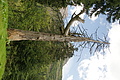 DSC09726 - Bernhard Saalfeld