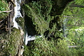 DSC09753 - Bernhard Saalfeld