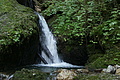 DSC09754 - Bernhard Saalfeld