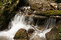 DSC09760 - Bernhard Saalfeld