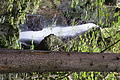 DSC09765 - Bernhard Saalfeld