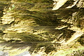 DSC09771 - Bernhard Saalfeld