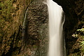 DSC09788 - Bernhard Saalfeld