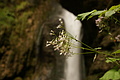 DSC09789 - Bernhard Saalfeld