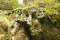 DSC09793 - Bernhard Saalfeld