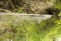 DSC09794 - Bernhard Saalfeld