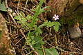 DSC09816 - Bernhard Saalfeld