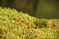 DSC09828 - Bernhard Saalfeld