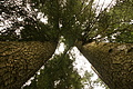DSC09837 - Bernhard Saalfeld