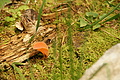 DSC09857 - Bernhard Saalfeld
