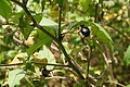 DSC09865 - Bernhard Saalfeld