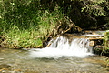 DSC09869 - Bernhard Saalfeld