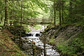 DSC09874 - Bernhard Saalfeld