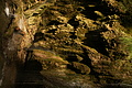 DSC09901 - Bernhard Saalfeld