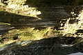 DSC09911 - Bernhard Saalfeld