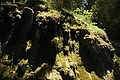 DSC09928 - Bernhard Saalfeld