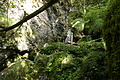 DSC09942 - Bernhard Saalfeld