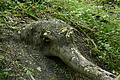 DSC09943 - Bernhard Saalfeld