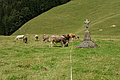 DSC09947 - Bernhard Saalfeld