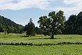 DSC09948 - Bernhard Saalfeld