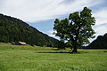 DSC09956 - Bernhard Saalfeld