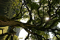 DSC09958 - Bernhard Saalfeld