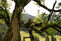DSC09959 - Bernhard Saalfeld