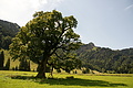 DSC09970 - Bernhard Saalfeld
