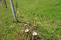 DSC09973 - Bernhard Saalfeld