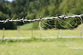 DSC09974 - Bernhard Saalfeld