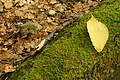 DSC09989 - Bernhard Saalfeld