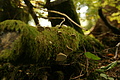 DSC10001 - Bernhard Saalfeld