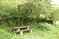 DSC10004 - Bernhard Saalfeld