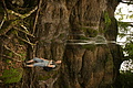 DSC10022 - Bernhard Saalfeld