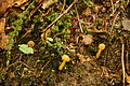 DSC10035 - Bernhard Saalfeld