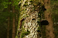 DSC10042 - Bernhard Saalfeld