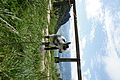 DSC10056 - Bernhard Saalfeld