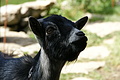 DSC10076 - Bernhard Saalfeld