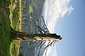 DSC10120 - Bernhard Saalfeld