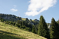 DSC10122 - Bernhard Saalfeld