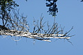 DSC10125 - Bernhard Saalfeld