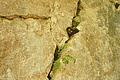 DSC10126 - Bernhard Saalfeld