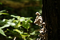 DSC10128 - Bernhard Saalfeld