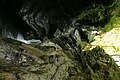 DSC10148 - Bernhard Saalfeld