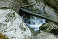 DSC10163 - Bernhard Saalfeld