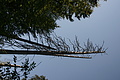 DSC10189 - Bernhard Saalfeld