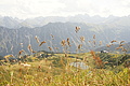 DSC10200 - Bernhard Saalfeld