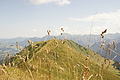 DSC10201 - Bernhard Saalfeld