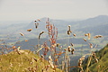 DSC10202 - Bernhard Saalfeld